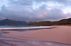 Sealers Bay- Whenua Hou/Codfish Island